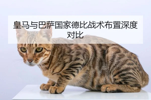 皇马与巴萨国家德比战术布置深度对比
